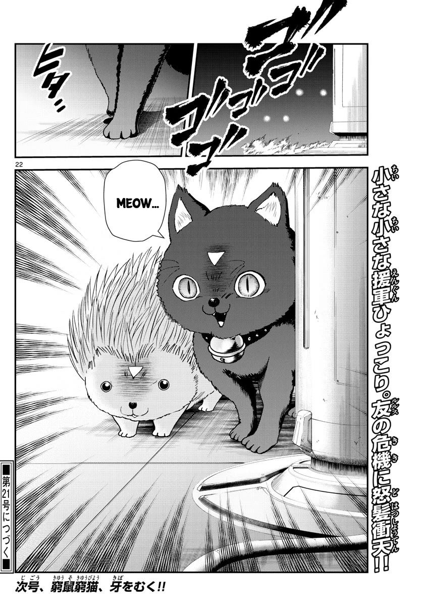 Kimi wa 008 Chapter 247 23